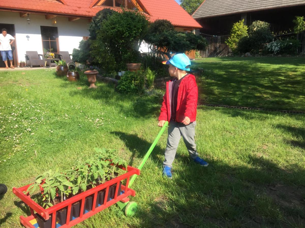 Dom Pod Orzechem Villa Łapczyce Buitenkant foto
