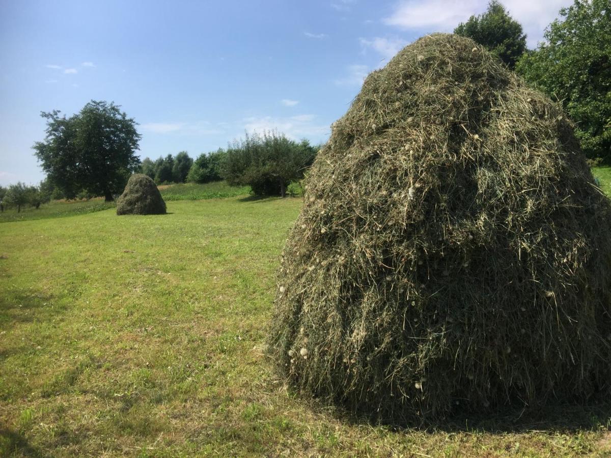 Dom Pod Orzechem Villa Łapczyce Buitenkant foto