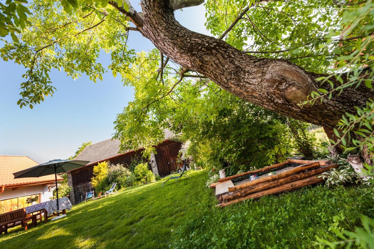 Dom Pod Orzechem Villa Łapczyce Buitenkant foto